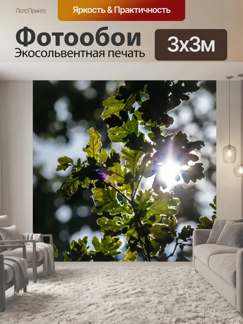 Фотообои Дуб