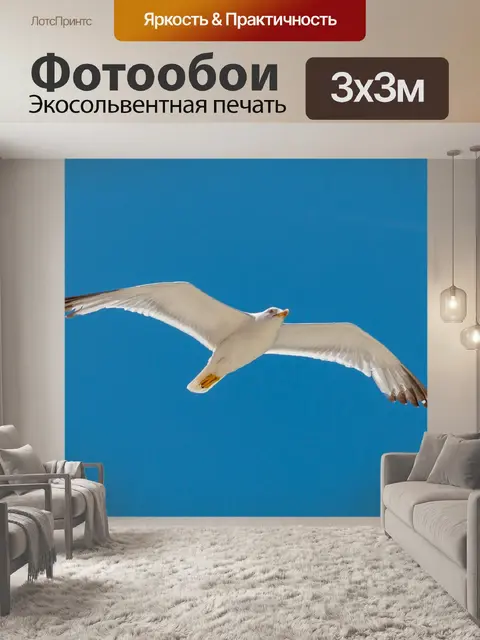 Фотообои Летающий