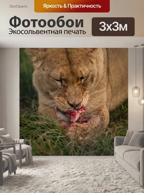 Фотообои Львица питание