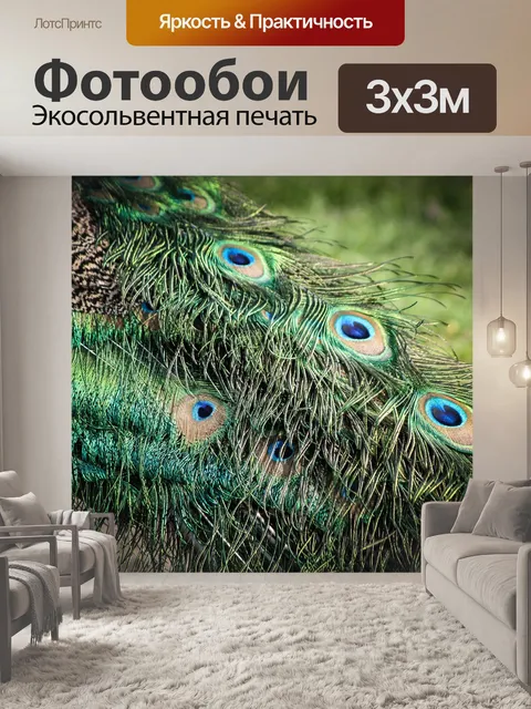 Фотообои Павлин