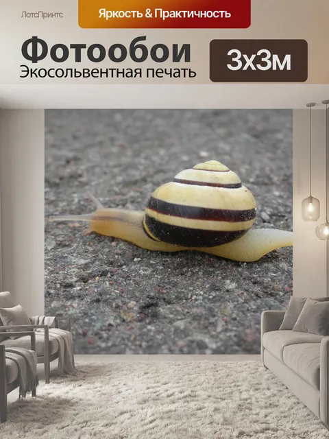 Фотообои Улитка