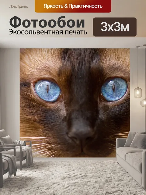 Фотообои Сиамский