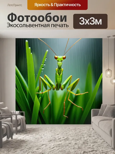 Фотообои богомол, сидящий на зеленом стебле травы под дождем