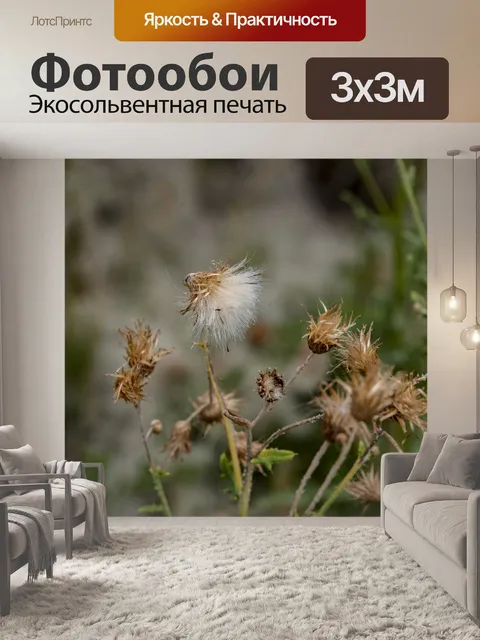 Фотообои Сушеные растения с белым