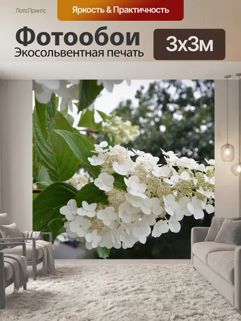 Фотообои Маленькие белые цветы
