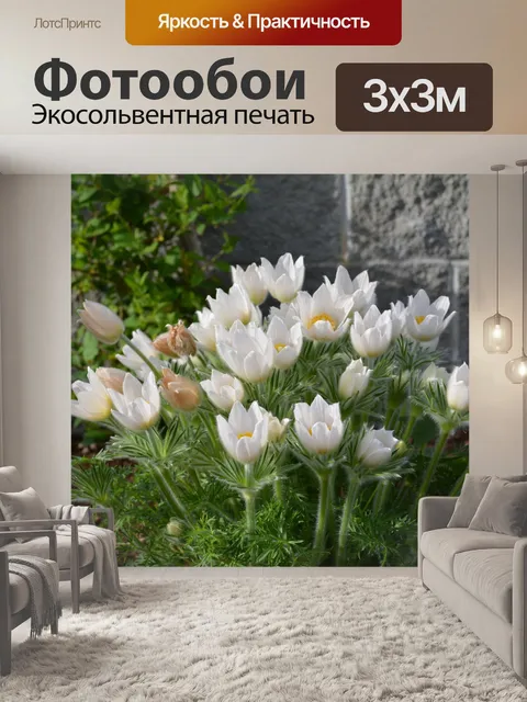 Фотообои Нежные цветы