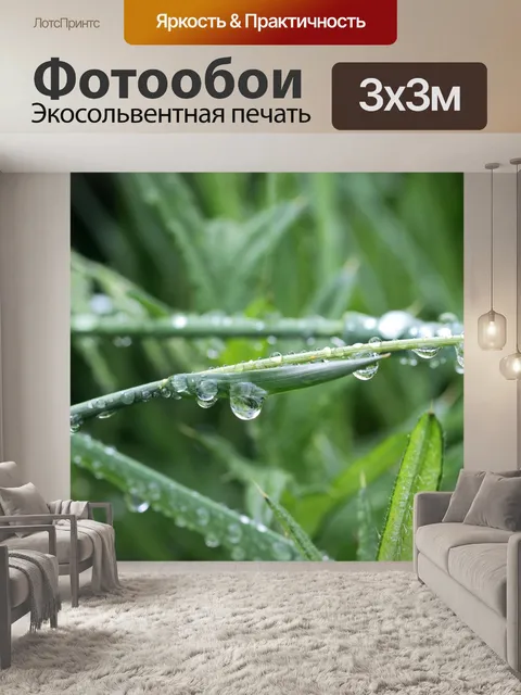 Фотообои Острие травы
