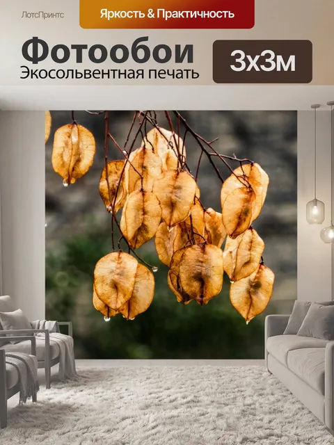 Фотообои Дождь на золотых листьях
