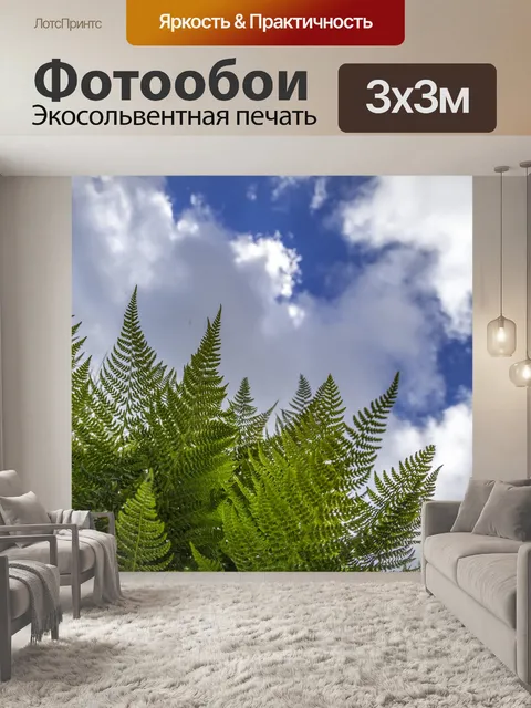 Фотообои Листья папоротника