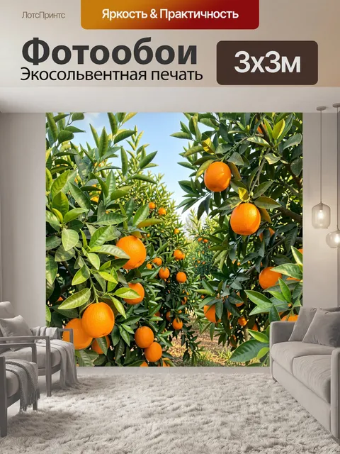 Фотообои Апельсиновый сад с плодами