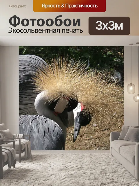 Фотообои Журавлей