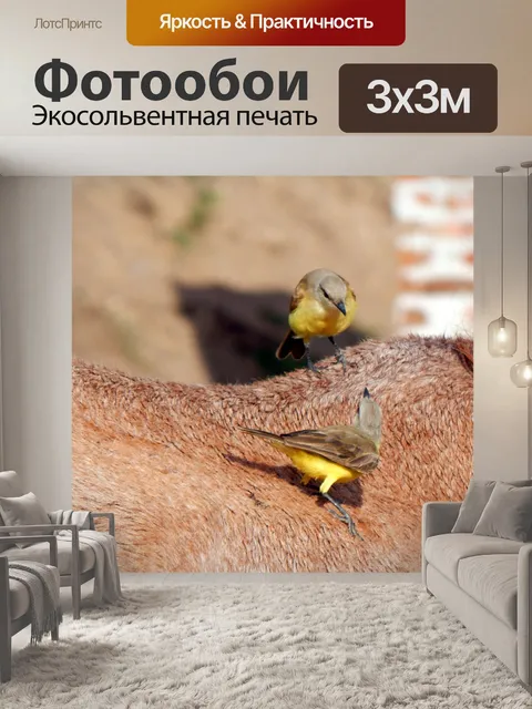 Фотообои Птицы
