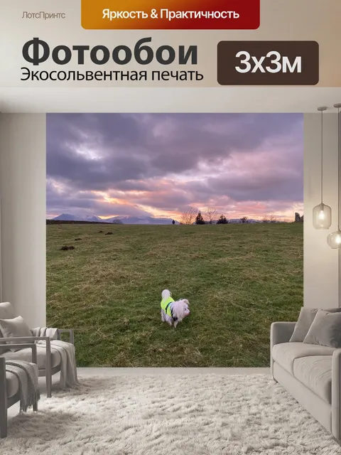 Фотообои Поле