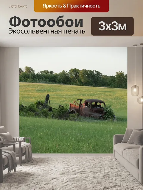 Фотообои Старый 1955 Dodge Truck in Field