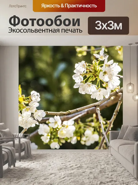 Фотообои Белые цветки