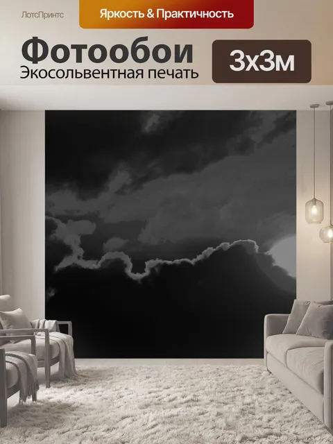 Фотообои Солнце в закате в черном и белом