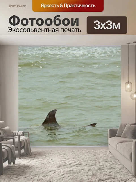 Фотообои Акула