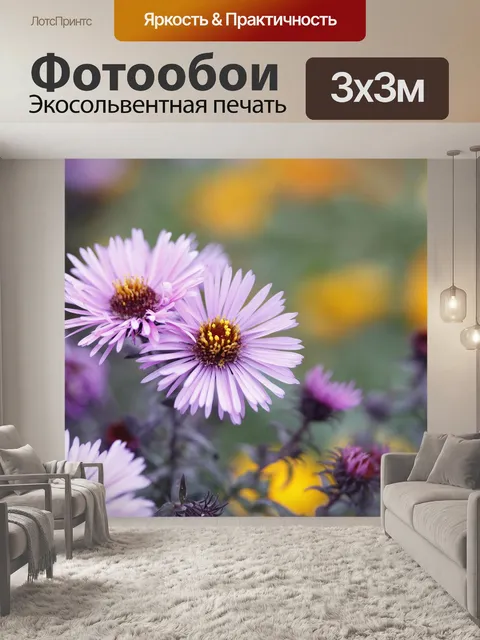 Фотообои Астра