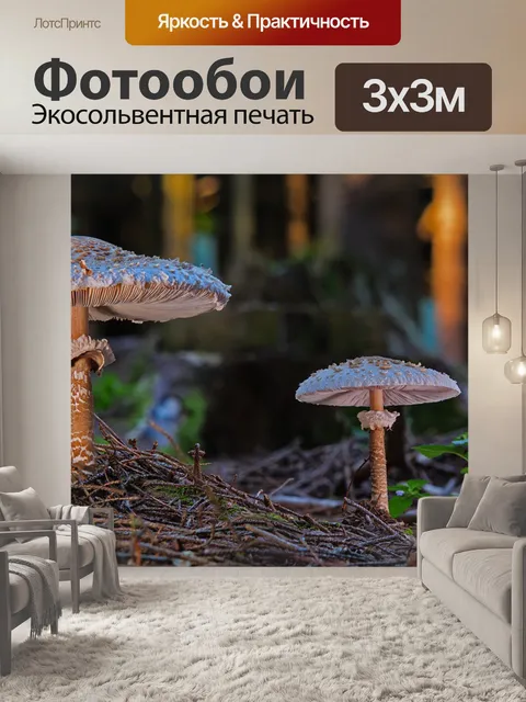 Фотообои Огромные зонтики