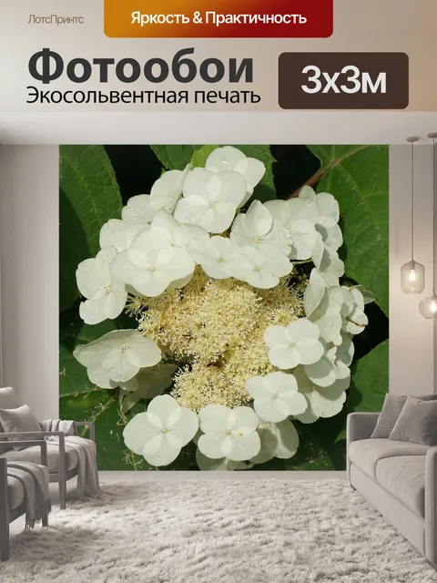 Фотообои Дубовая гортензия
