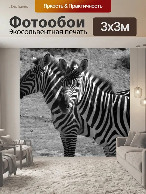 Фотообои Зебры