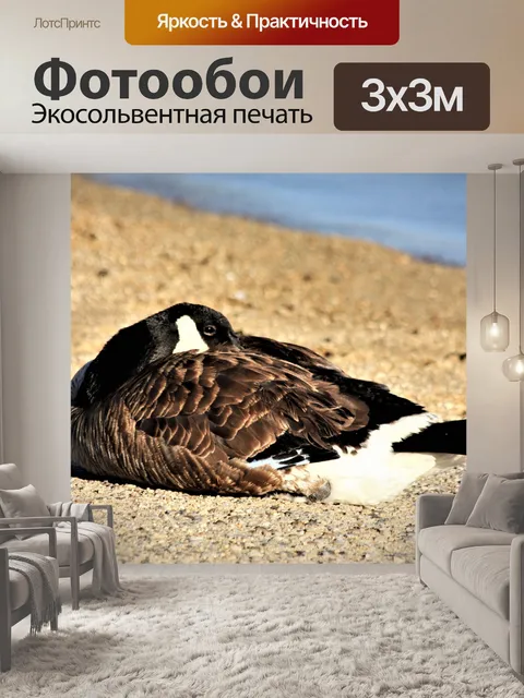 Фотообои Отдых в Канаде