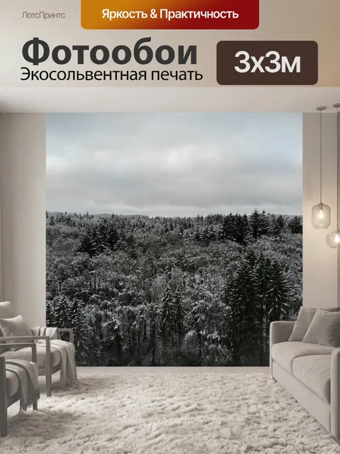 Фотообои Снег