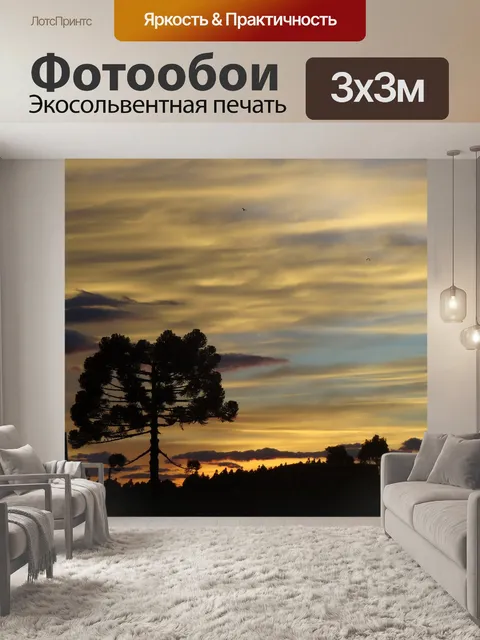 Фотообои Восход солнца