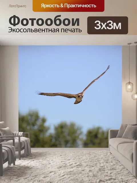 Фотообои Птица