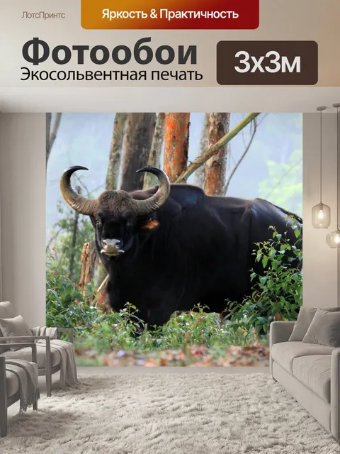 Фотообои Дикий буйвол