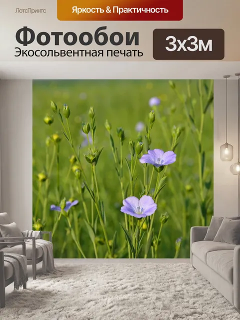 Фотообои Цветы