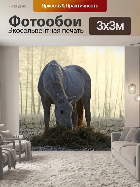 Фотообои Лошадь