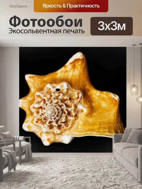 Фотообои Устрицы