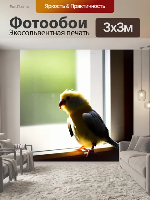 Фотообои корелла, сидящая на подоконнике, через которое проникает солнечный свет