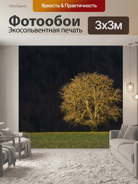 Фотообои Дерево