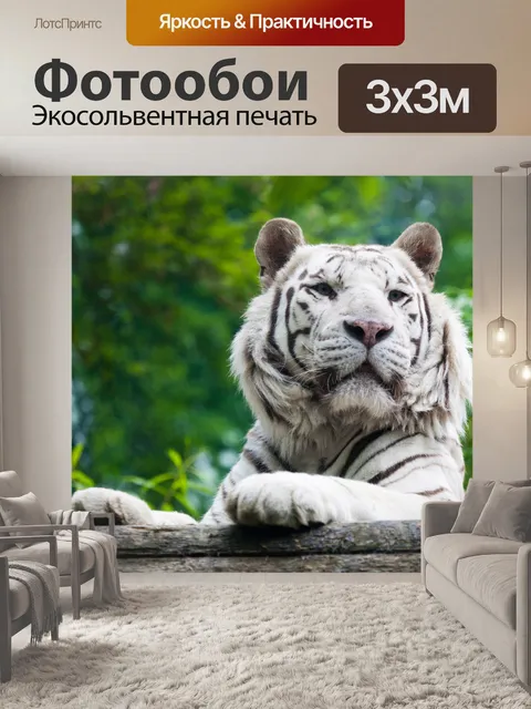 Фотообои Белый тигр