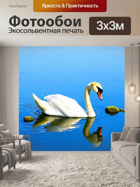 Фотообои нежный белый лебедь плавает в спокойной прозрачной воде, отражающей голубое небо