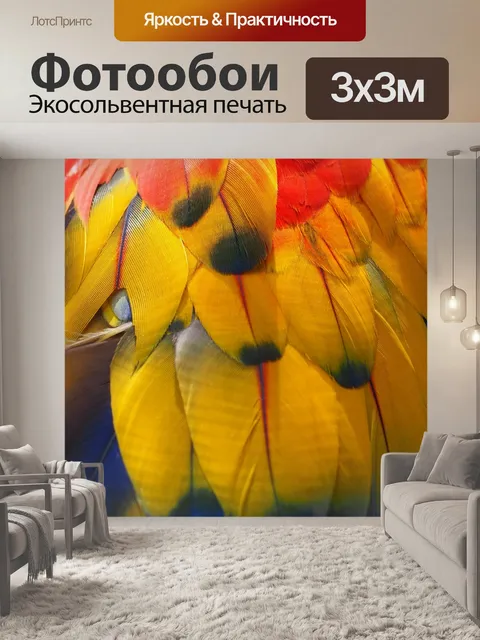 Фотообои Попугай