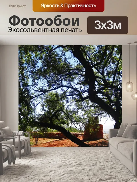 Фотообои большое дерево кари на вершине холма