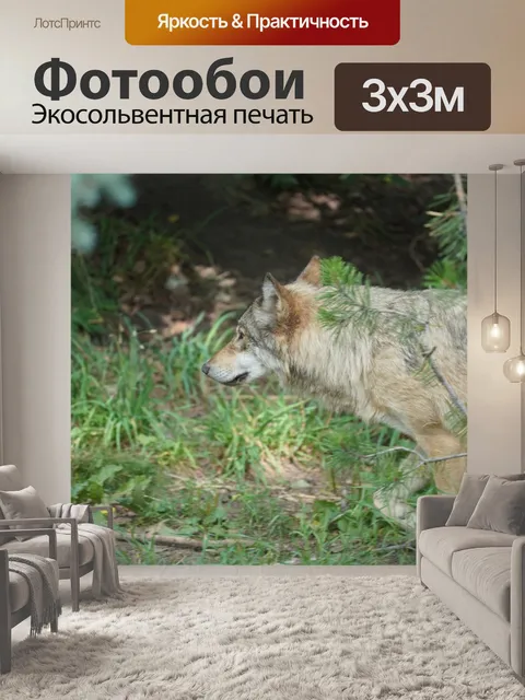 Фотообои Волк