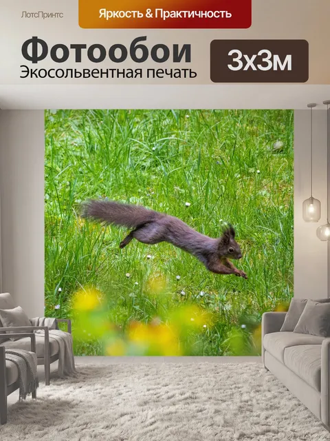 Фотообои Белка