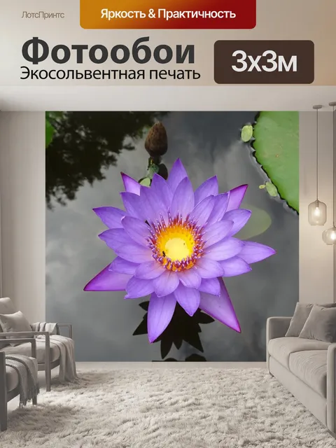 Фотообои Лили