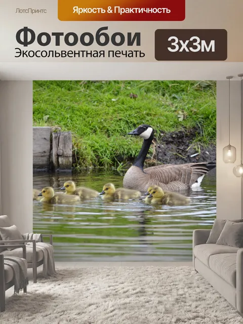 Фотообои Милашки 1