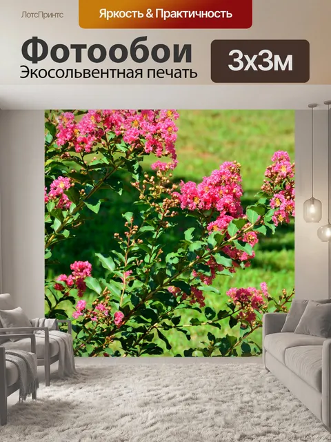 Фотообои Креп Миртл Буш