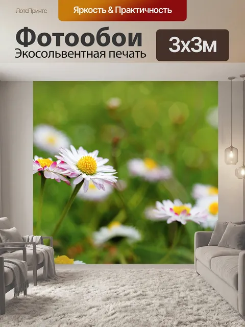 Фотообои Ромашка расцветает луг