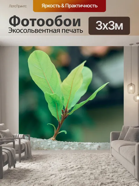Фотообои Букет