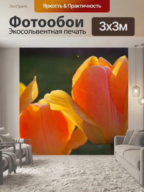 Фотообои Тюльпаны