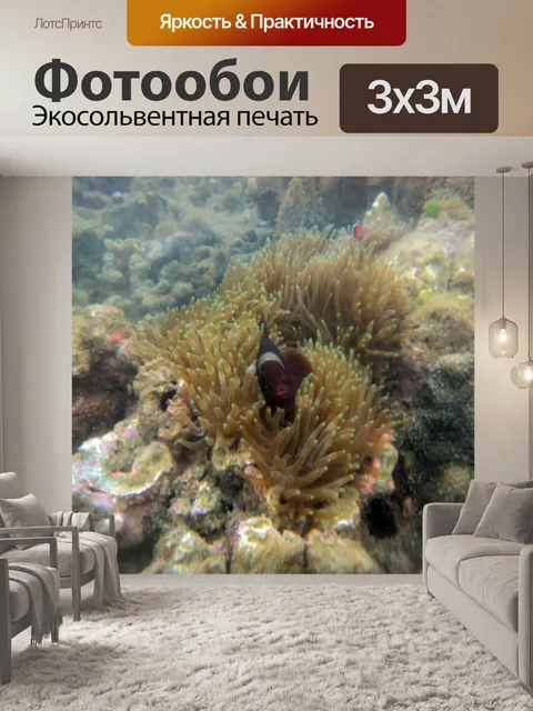 Фотообои красивый подводный рыба