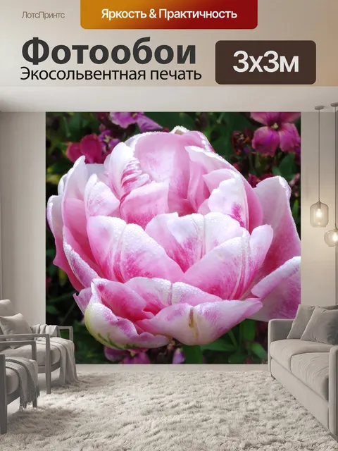 Фотообои Розовый тюльпан