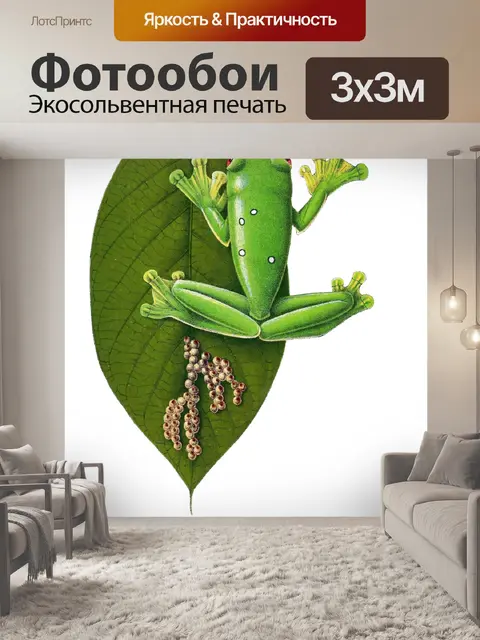 Фотообои Квакша винтаж искусство старый